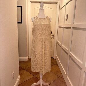 JCrew NWT Lace Lined Sheath Dress Ivory/Cream Size 16